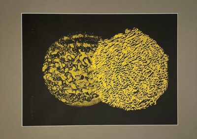 Karin Nowak: Mutation Makrophag - Druckcollage 2018