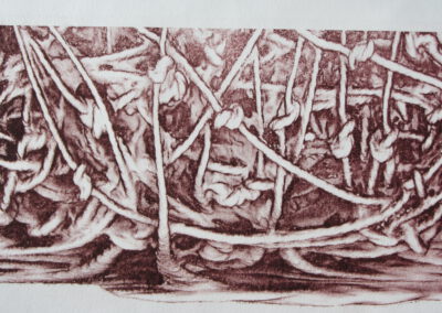 Karin Nowak: Knoten - Transferlitho auf Bütten 2013